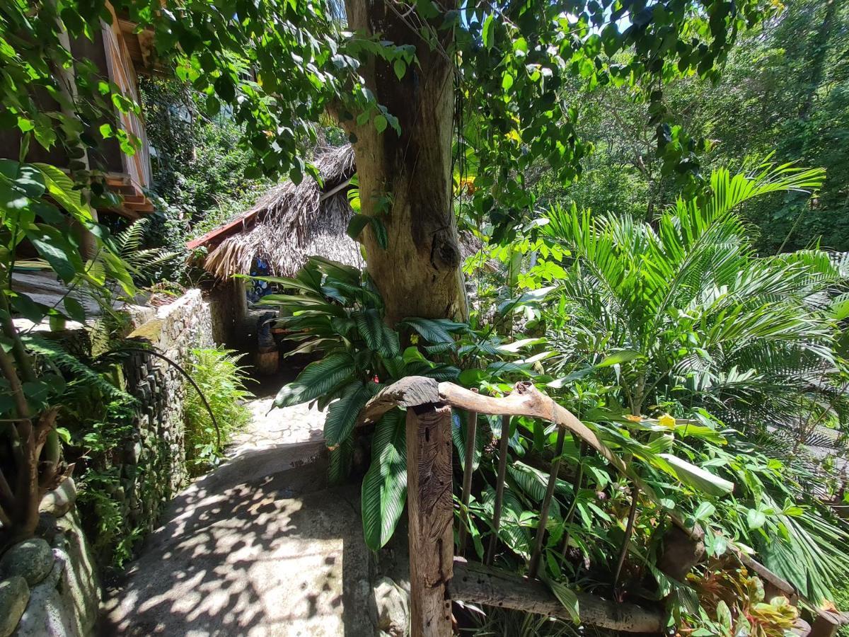Eco Hostal La Perla Tayrona El Zaino Ngoại thất bức ảnh